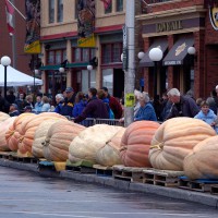 Pumpkin weigh off at Ottawa`s By Ward Market