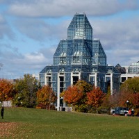 Woman walking her dog in Majors Hill Park in front of the National Gallery of Canada Museum